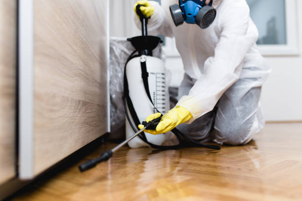 Best Rat Extermination Near Me  in Fort Polk South, LA