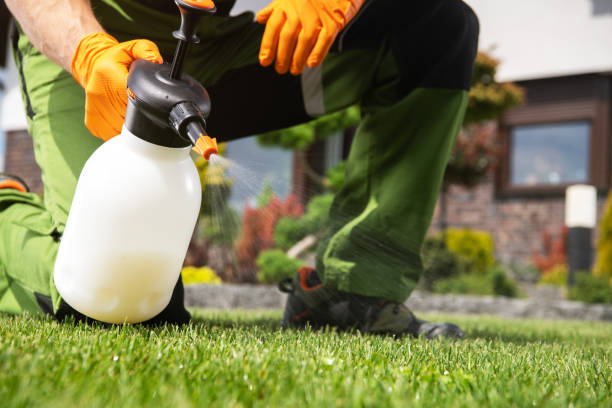 Best Pest Prevention Services  in Fort Polk South, LA