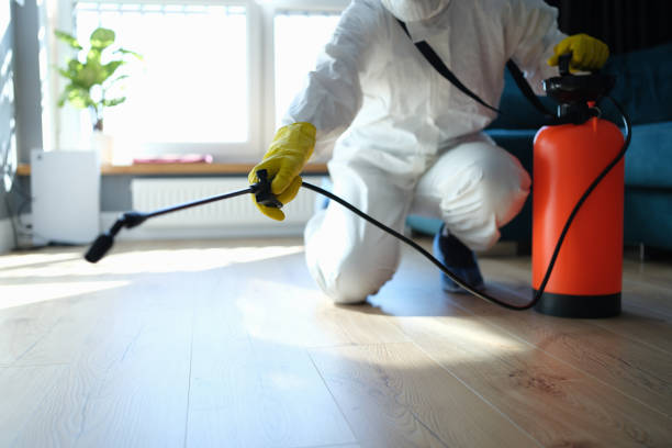 Best Emergency Pest Control  in Fort Polk South, LA