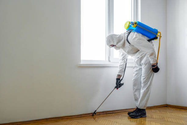 Best Residential Pest Control  in Fort Polk South, LA