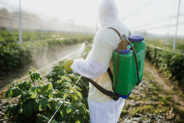 Trusted Fort Polk South, LA Pest Control Experts